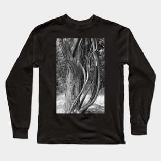 Road to Hana Flora Study 5 Long Sleeve T-Shirt